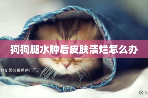狗狗腿水腫后皮膚潰爛怎么辦