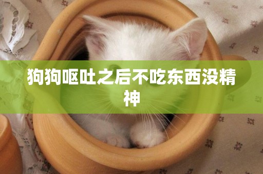 狗狗嘔吐之后不吃東西沒精神