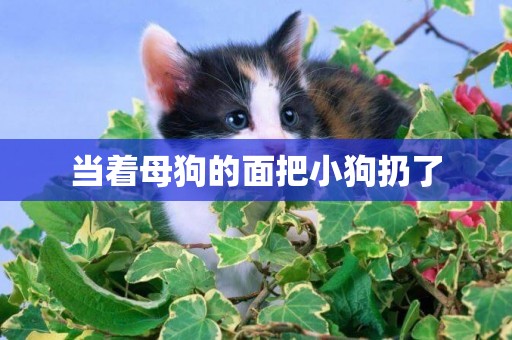 當著母狗的面把小狗扔了