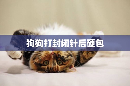 狗狗打封閉針后硬包