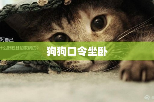 狗狗口令坐臥