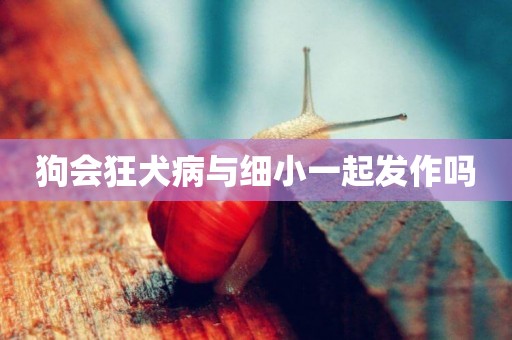 狗會狂犬病與細小一起發作嗎