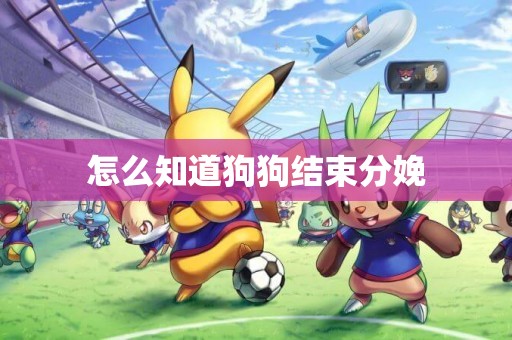 怎么知道狗狗結束分娩