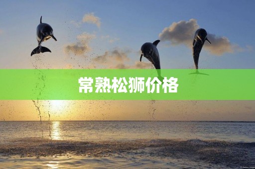 常熟松獅價格