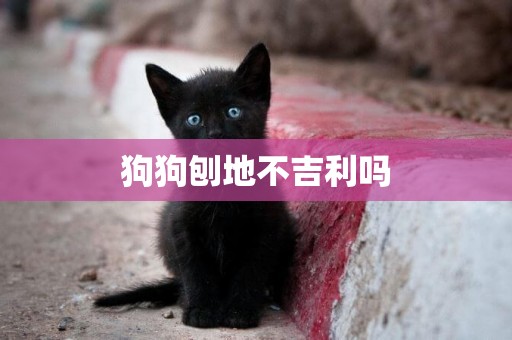 狗狗刨地不吉利嗎
