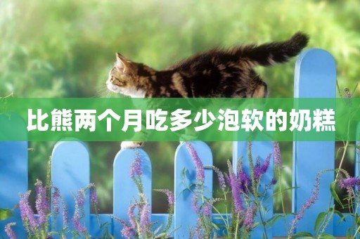 比熊兩個月吃多少泡軟的奶糕