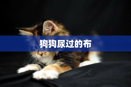 狗狗尿過的布
