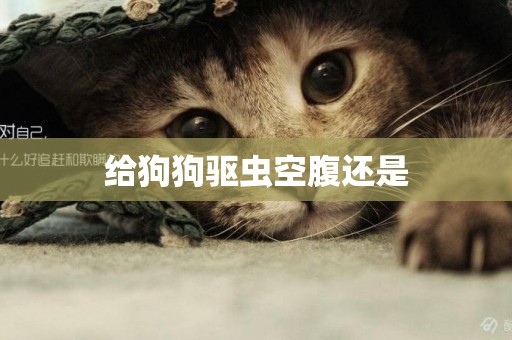 給狗狗驅蟲空腹還是