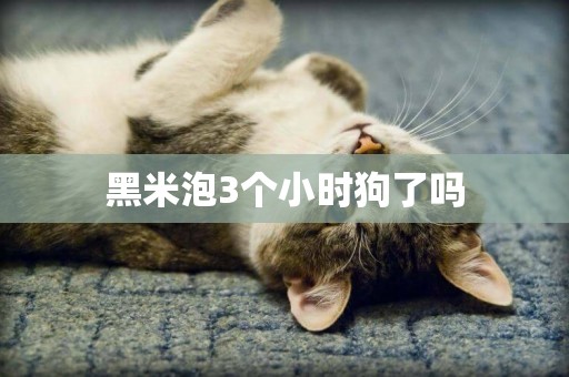 黑米泡3個小時狗了嗎
