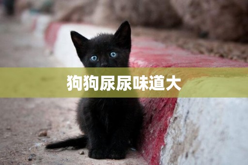 狗狗尿尿味道大