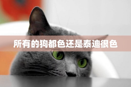 所有的狗都色還是泰迪很色