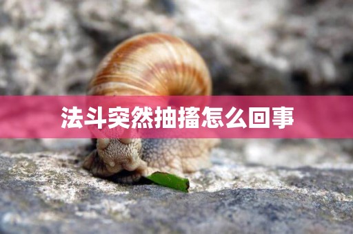 法斗突然抽搐怎么回事
