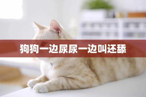 狗狗一邊尿尿一邊叫還舔