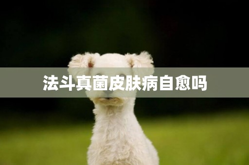 法斗真菌皮膚病自愈嗎