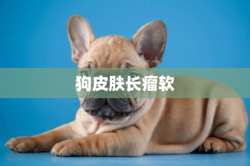 狗皮膚長瘤軟