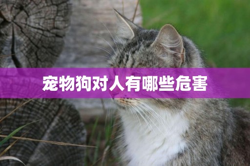 寵物狗對人有哪些危害