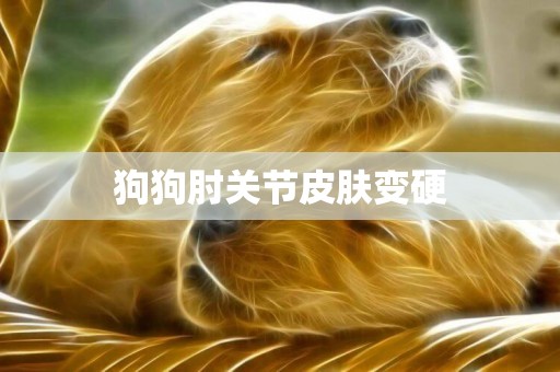 狗狗肘關節皮膚變硬