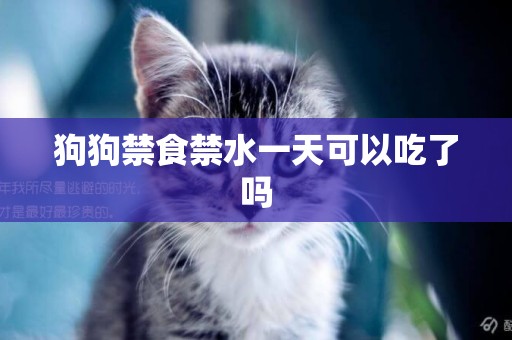 狗狗禁食禁水一天可以吃了嗎