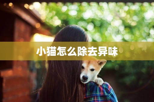 小貓怎么除去異味