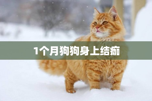 1個月狗狗身上結痂