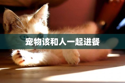 寵物該和人一起進餐