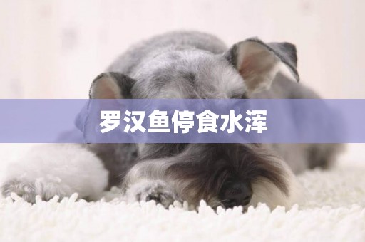 羅漢魚停食水渾