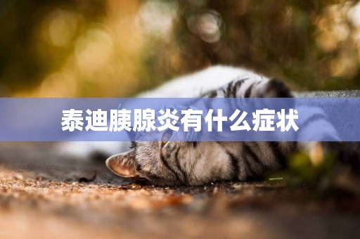 泰迪胰腺炎有什么癥狀