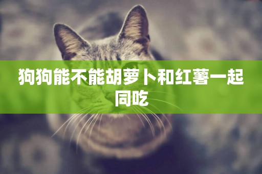 狗狗能不能胡蘿卜和紅薯一起同吃