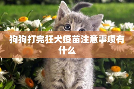 狗狗打完狂犬疫苗注意事項有什么