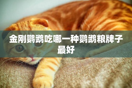 金剛鸚鵡吃哪一種鸚鵡糧牌子最好
