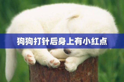 狗狗打針后身上有小紅點