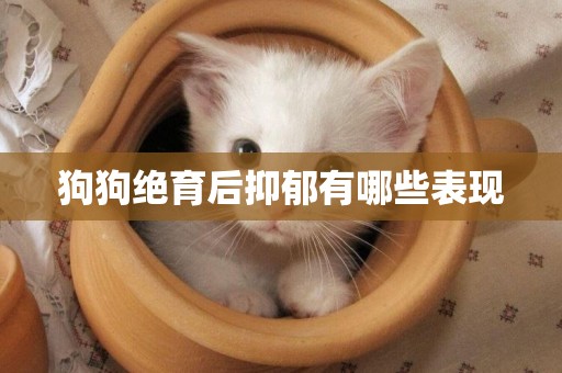 狗狗絕育后抑郁有哪些表現