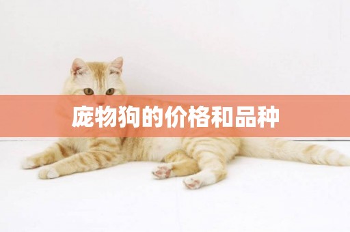 龐物狗的價格和品種