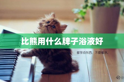 比熊用什么牌子浴液好