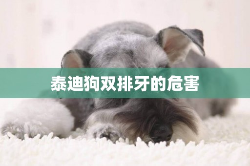 泰迪狗雙排牙的危害