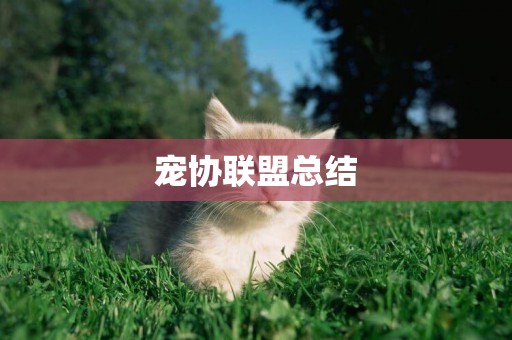 寵協聯盟總結
