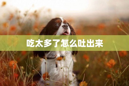 吃太多了怎么吐出來
