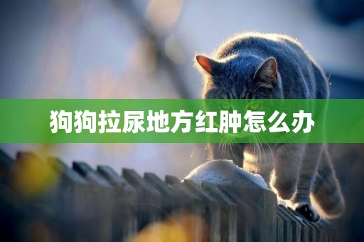 狗狗拉尿地方紅腫怎么辦