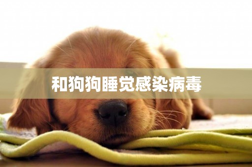 和狗狗睡覺感染病毒