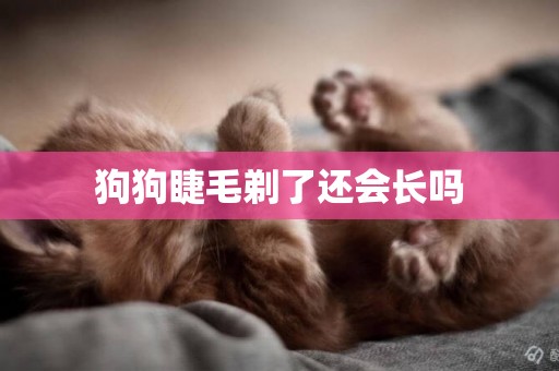 狗狗睫毛剃了還會長嗎