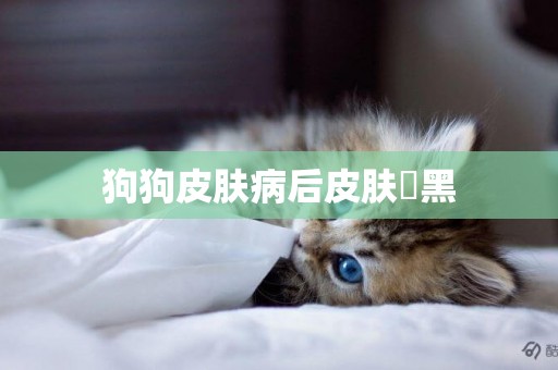 狗狗皮膚病后皮膚変黑