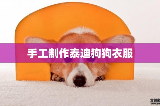 手工制作泰迪狗狗衣服