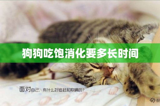 狗狗吃飽消化要多長時間
