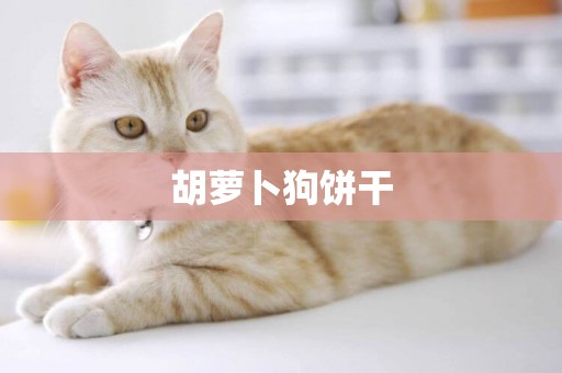 胡蘿卜狗餅干