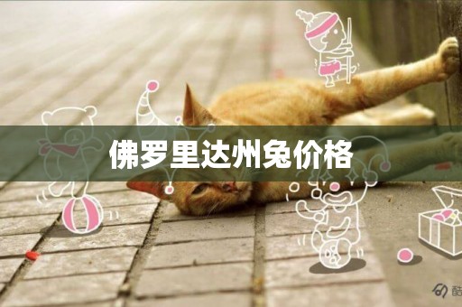 佛羅里達州兔價格