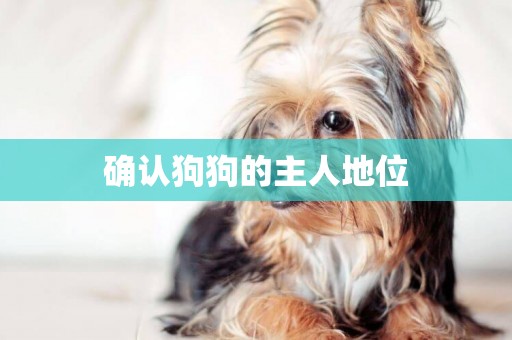 確認狗狗的主人地位