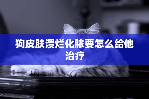 狗皮膚潰爛化膿要怎么給他治療