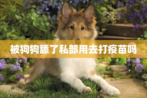 被狗狗舔了私部用去打疫苗嗎