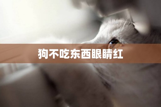 狗不吃東西眼睛紅