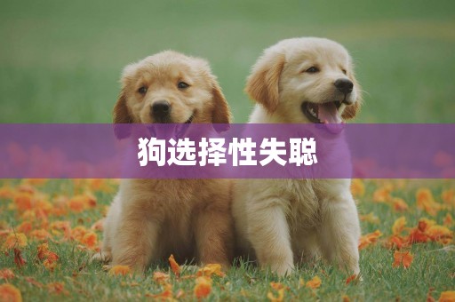 狗選擇性失聰